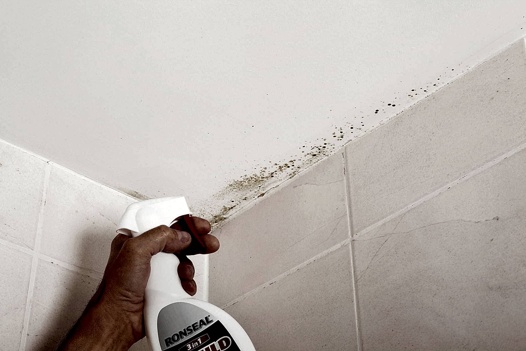 How to remove mould from ceiling